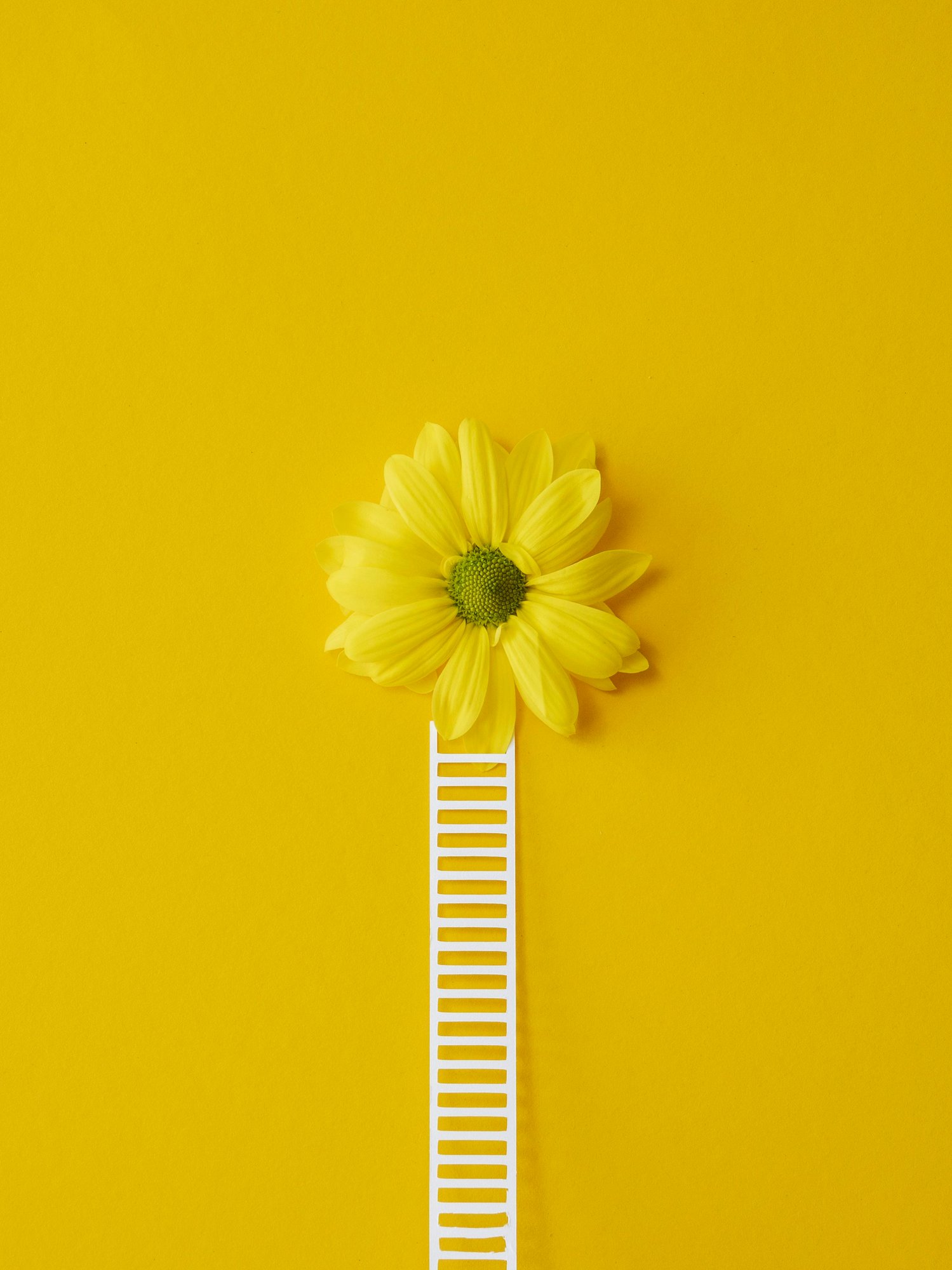 Novetos webinaari kesäkuu 2026