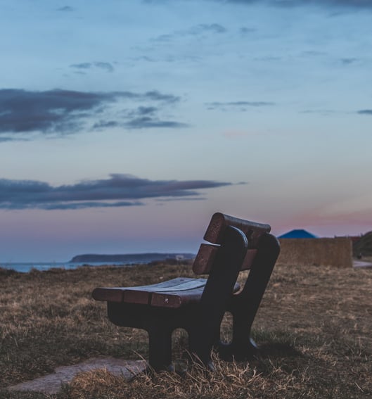 cameron-gibson-mcipCpscgGQ-unsplash-1