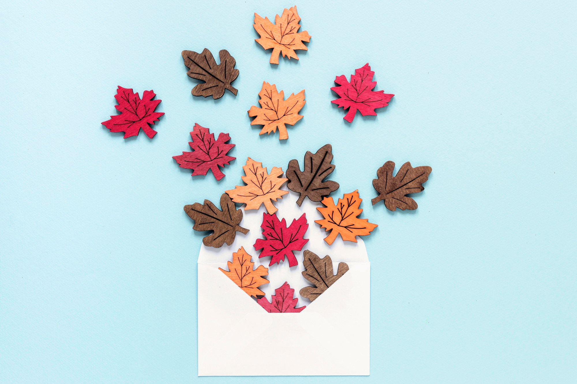 flat-lay-beautiful-nature-concept